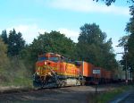 BNSF 4301